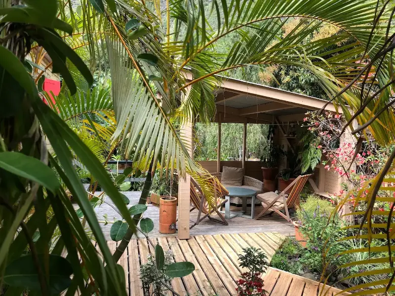Kiosque et transats de la chambre d'hôtes vus à travers les palmes, La Réunion